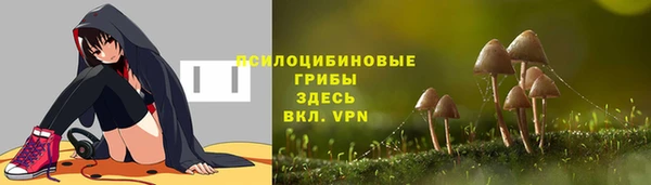 соль курить ск Богородицк