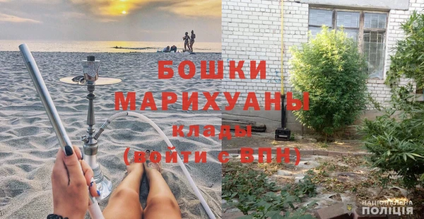 гидра Бронницы