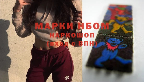 таблы Бородино