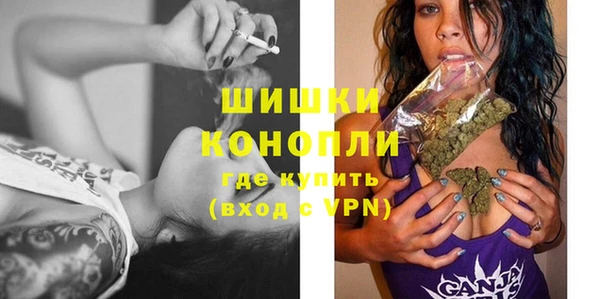 таблы Бородино
