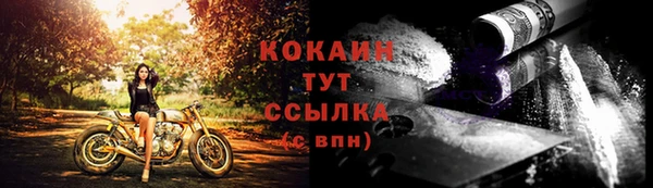 гидра Бронницы