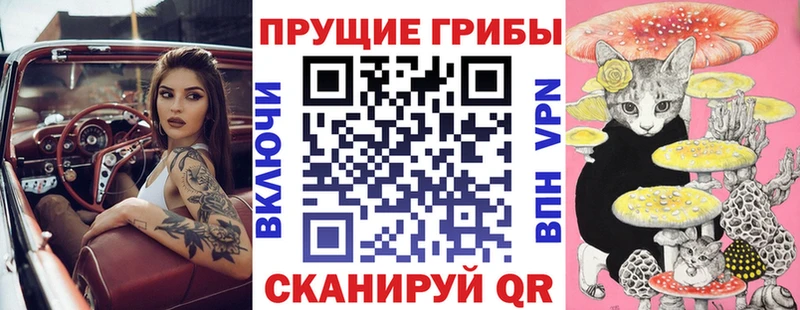 OMG tor  Мензелинск  Галлюциногенные грибы мухоморы  цена  